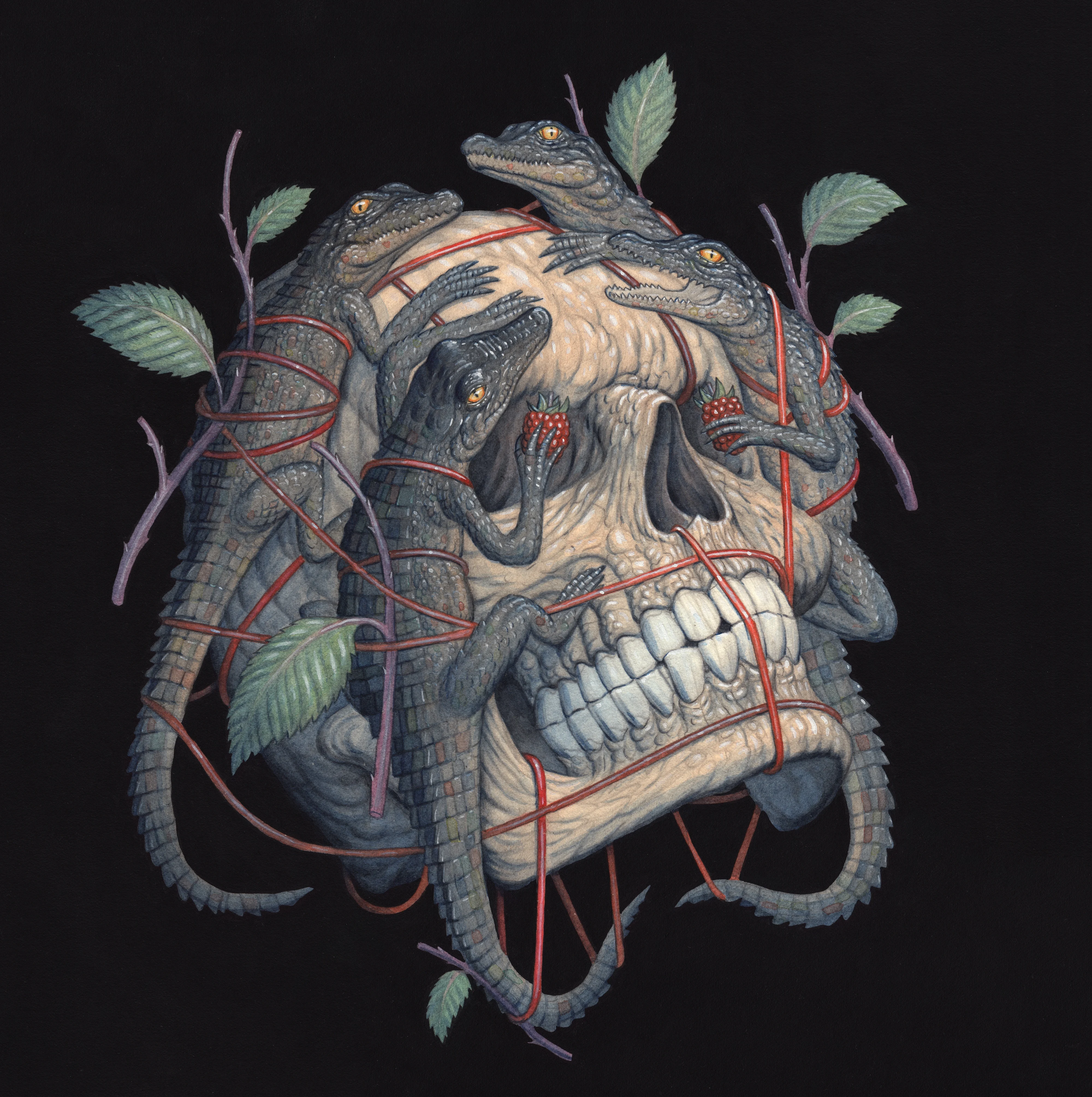 Collection banner
