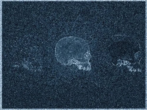 The Great Color Study banner