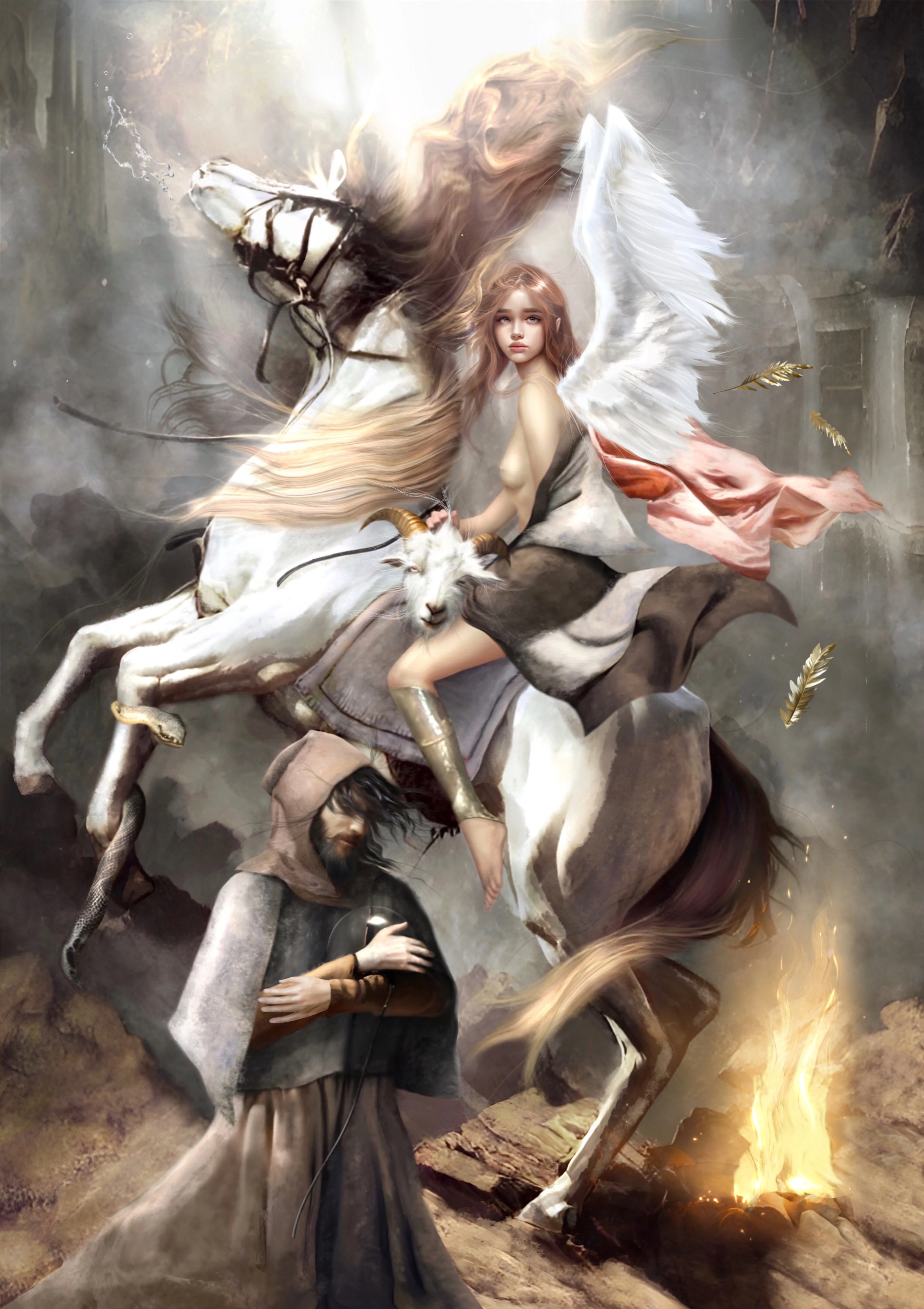 Collection banner