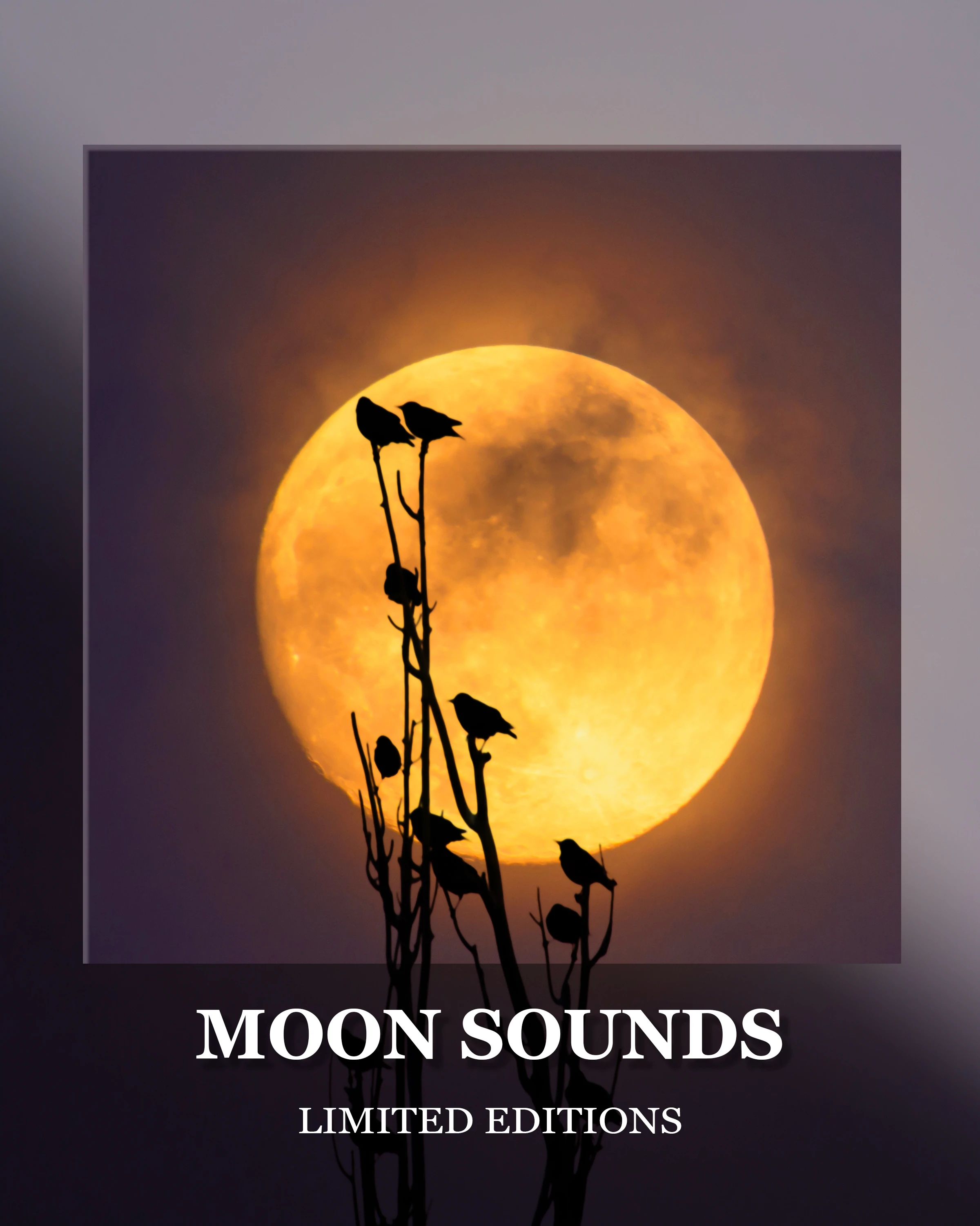 Collection banner