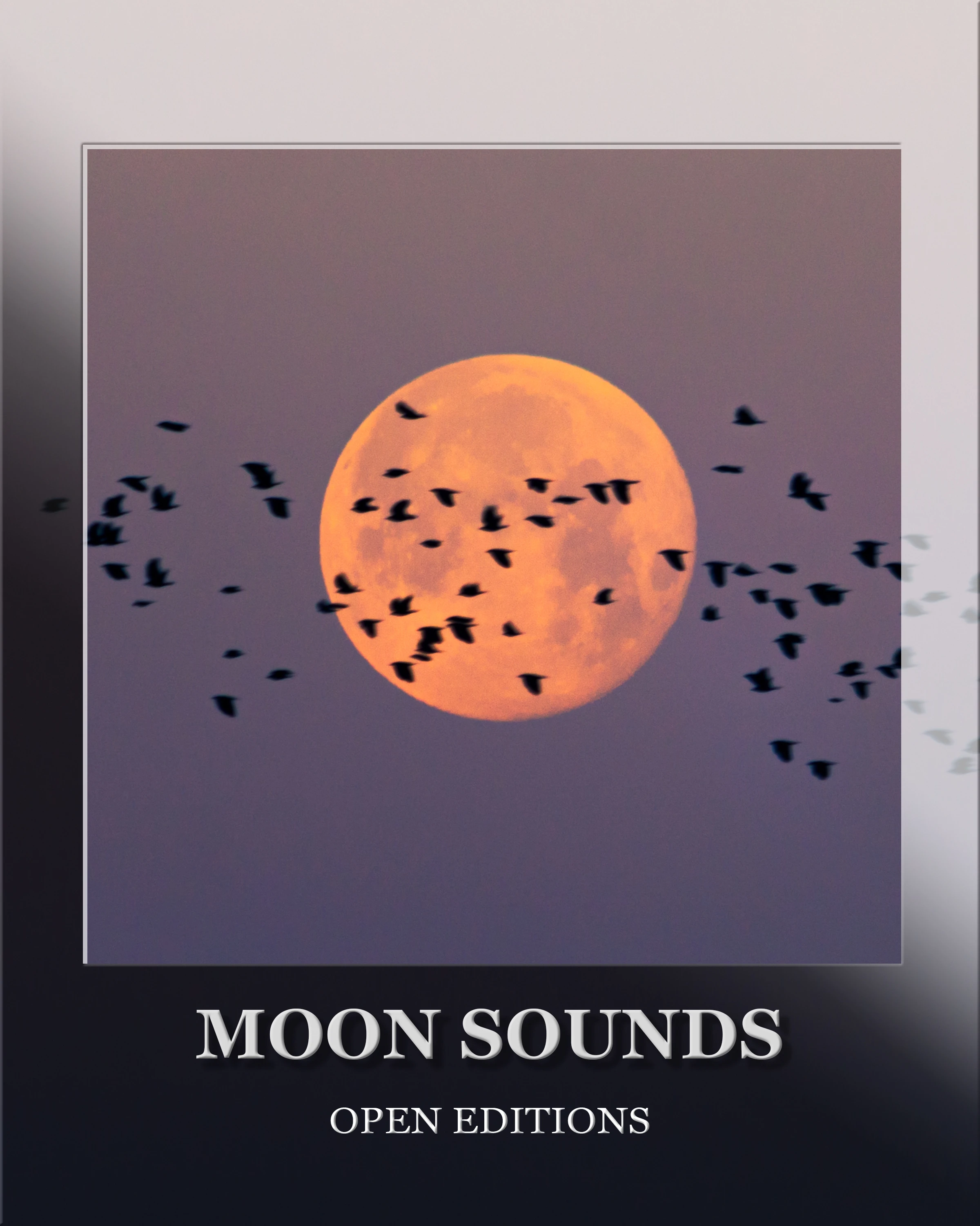 Collection banner