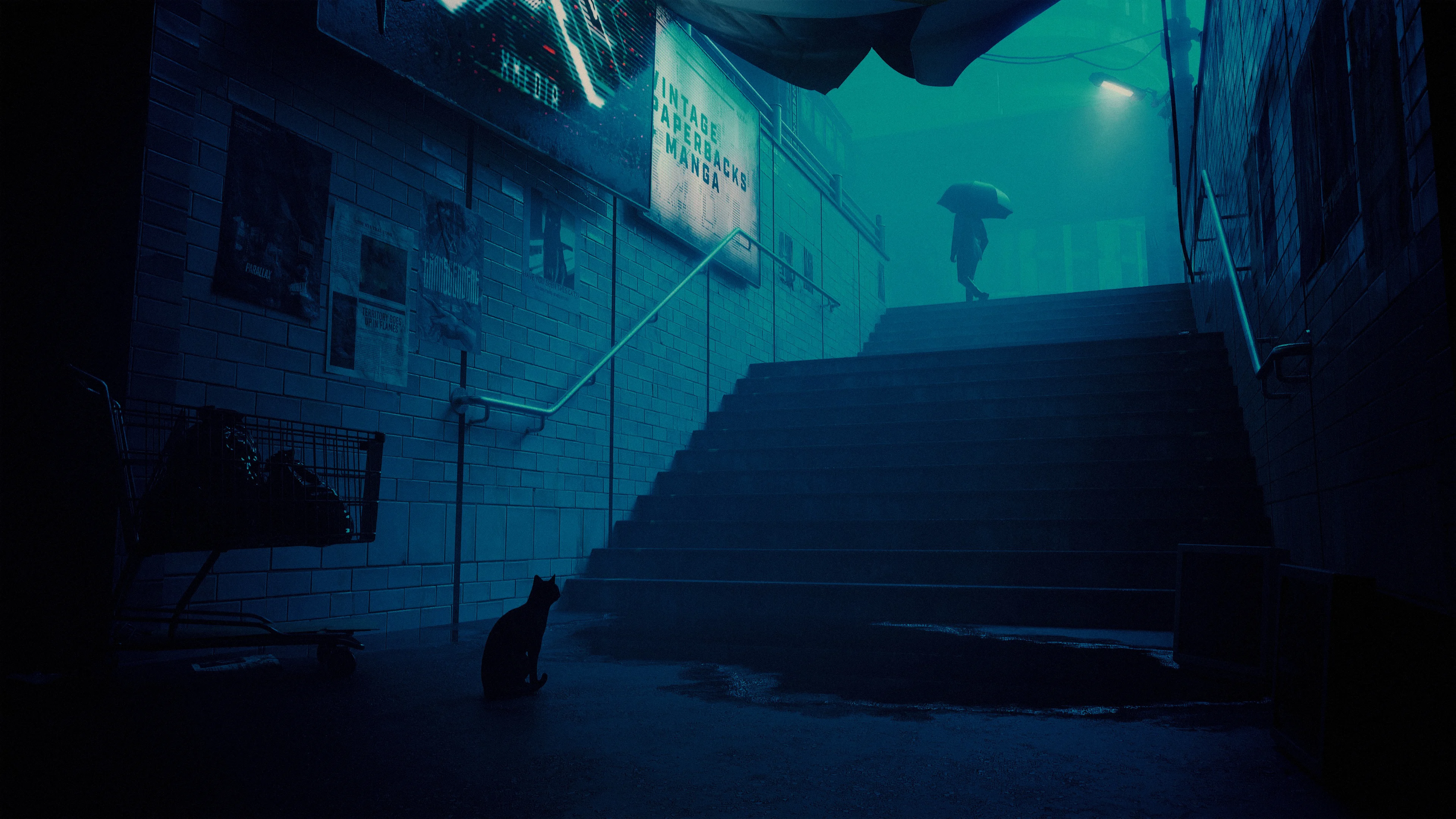 Collection banner