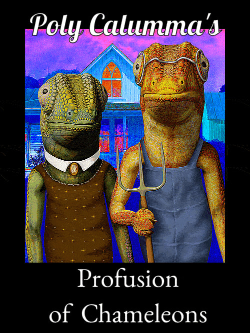 Collection banner