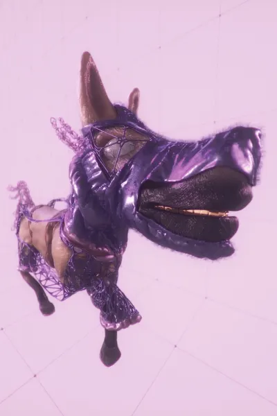 Collection banner