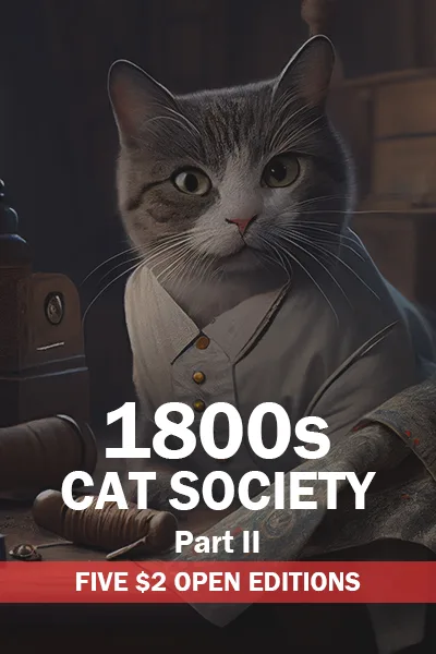 Collection banner