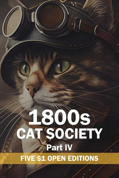 Collection banner