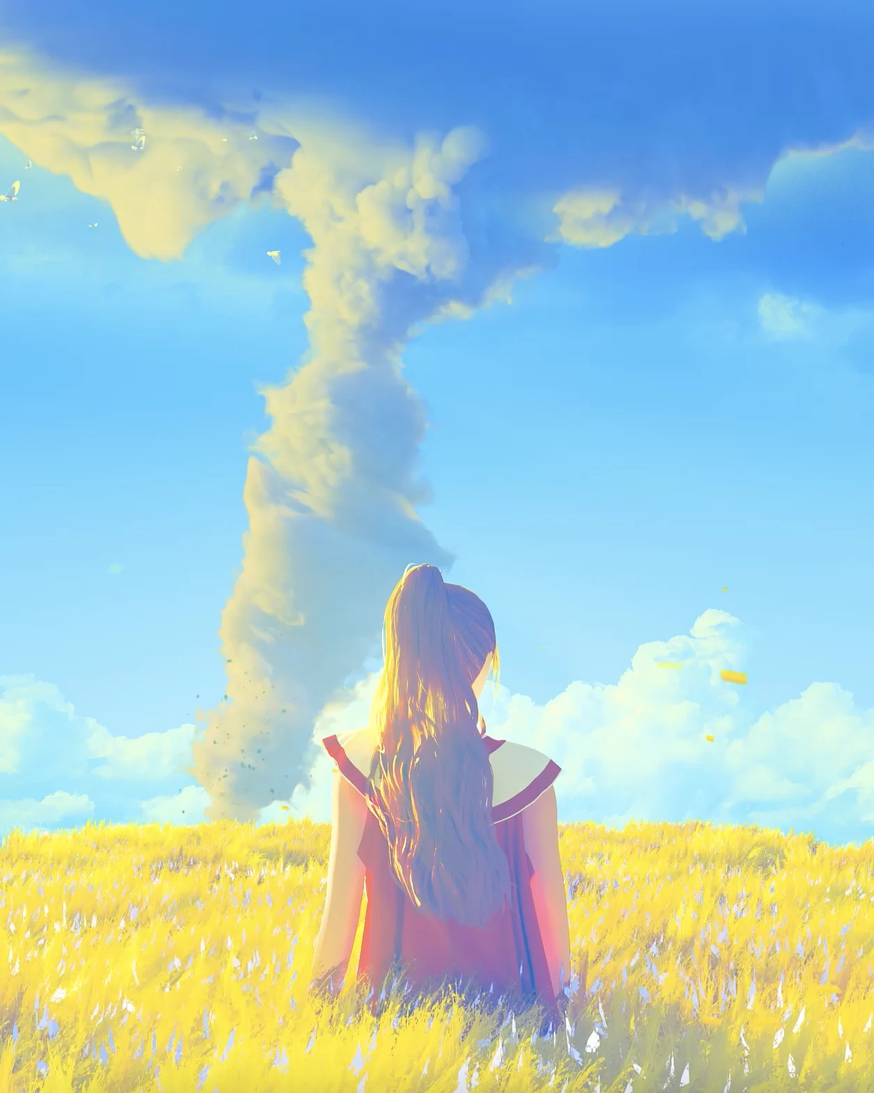 Collection banner