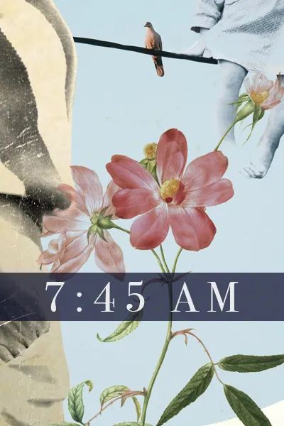 Collection banner