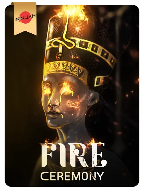 Collection banner