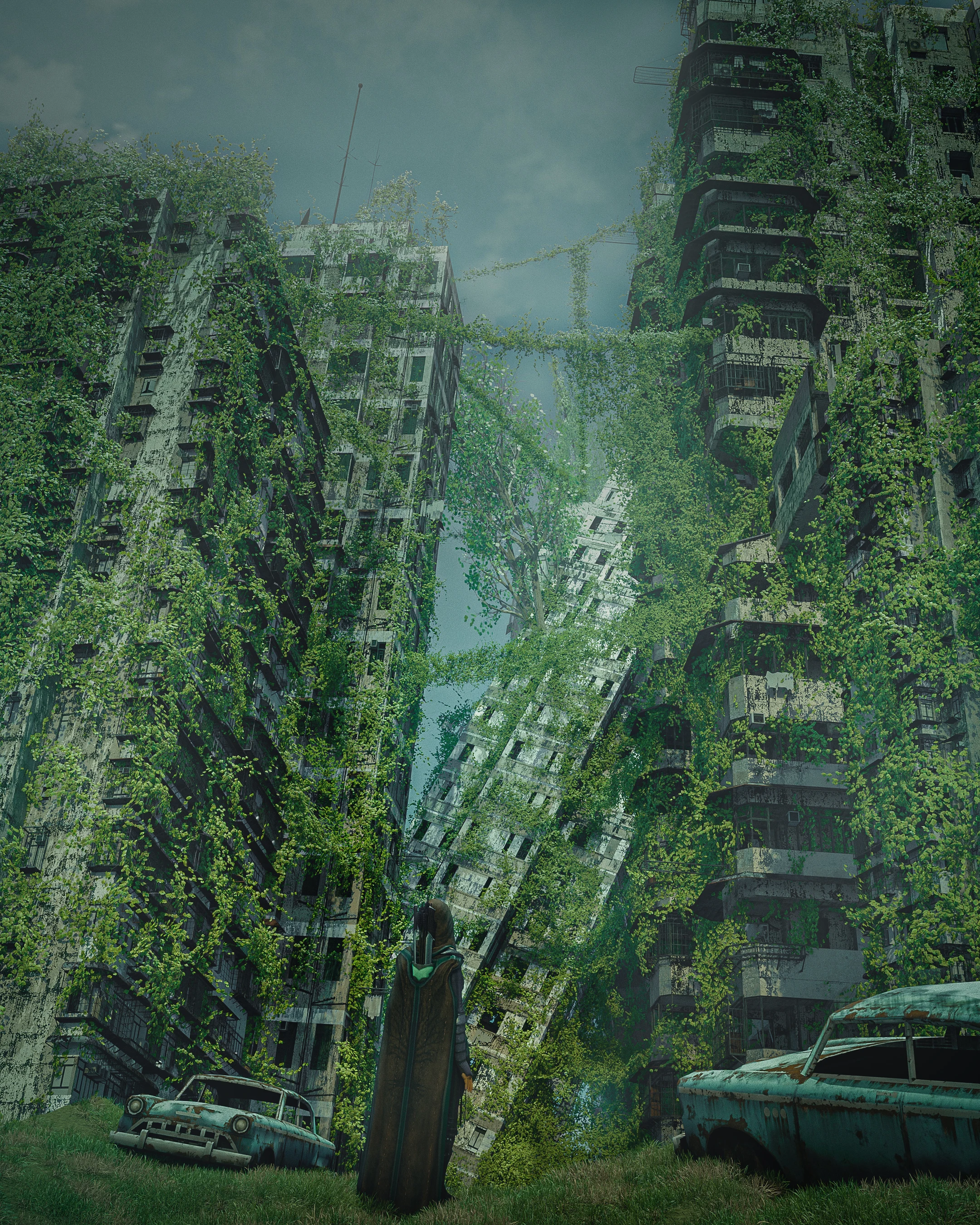 Collection banner