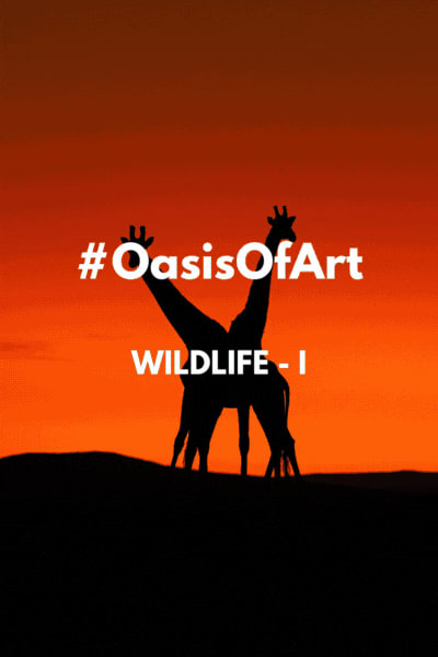 Collection banner