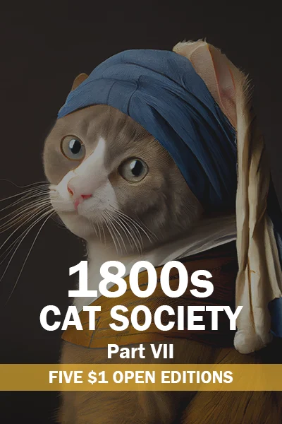 Collection banner