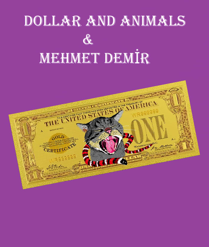 Collection banner