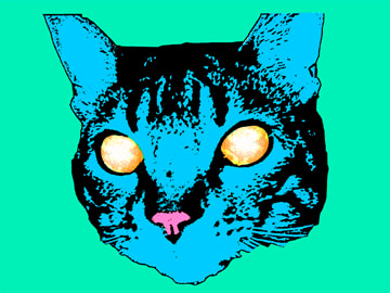 Collection banner