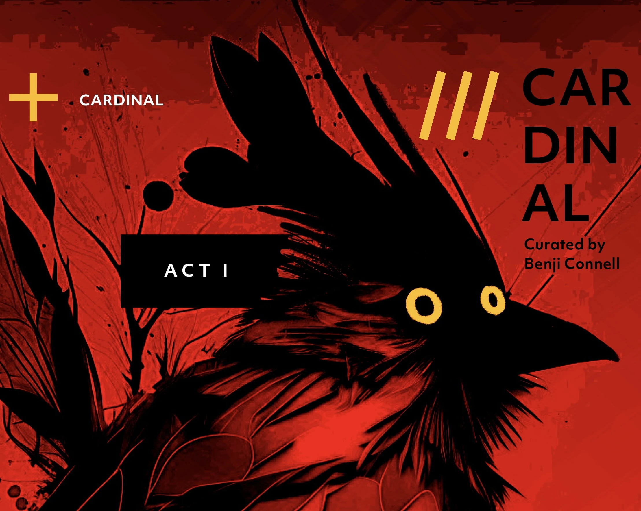 Collection banner