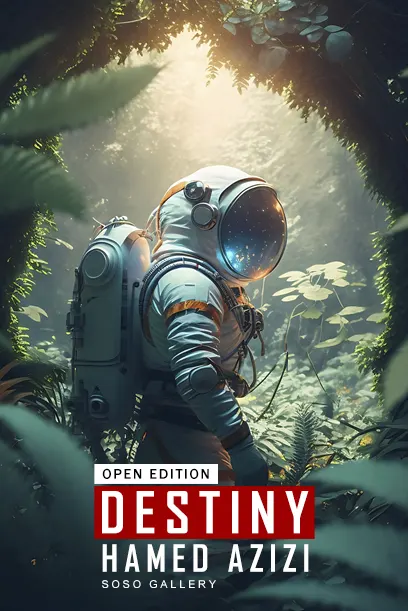 Collection banner