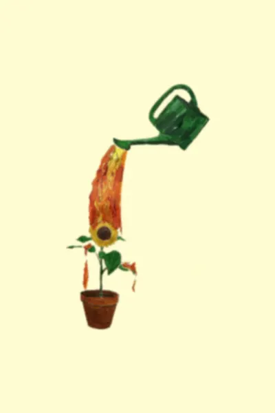 Collection banner
