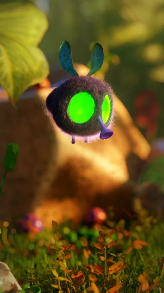 Collection banner