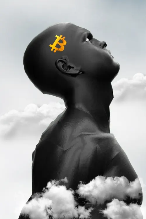 Collection banner