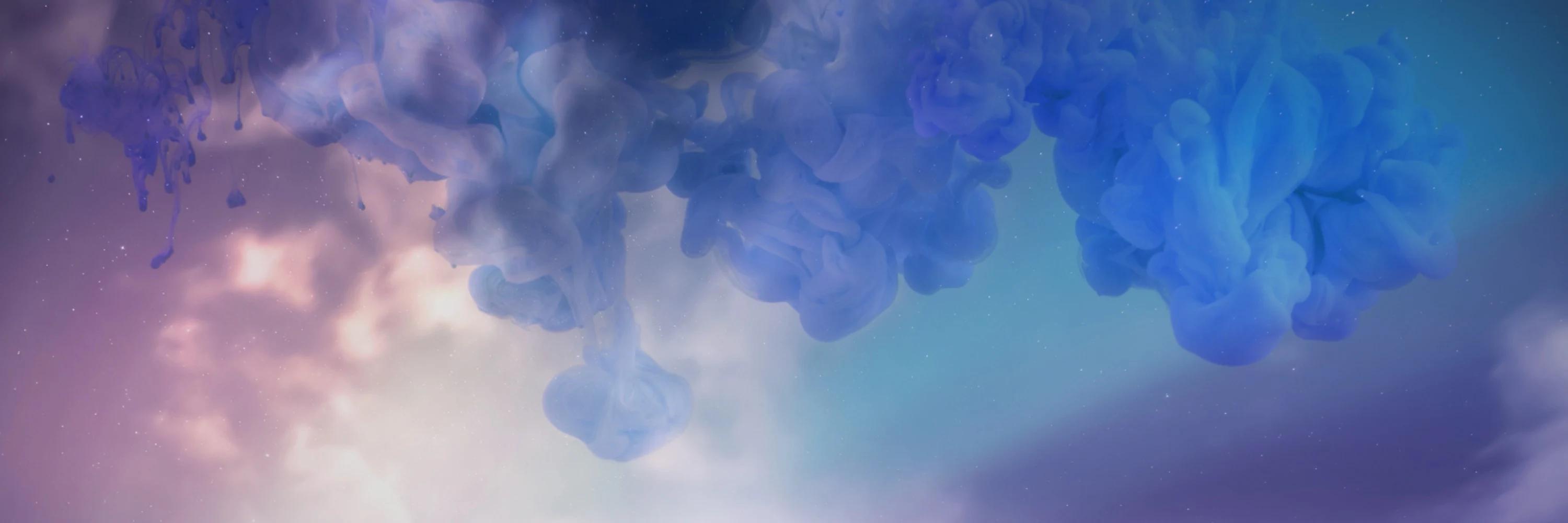 Collection banner