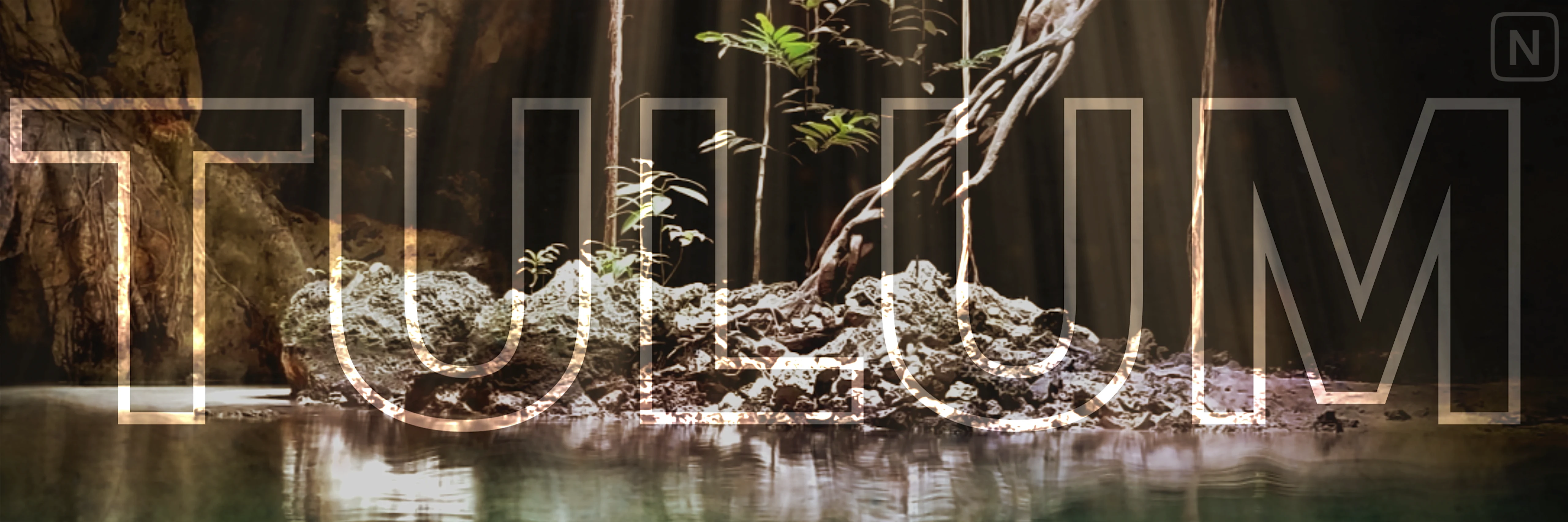 Collection banner