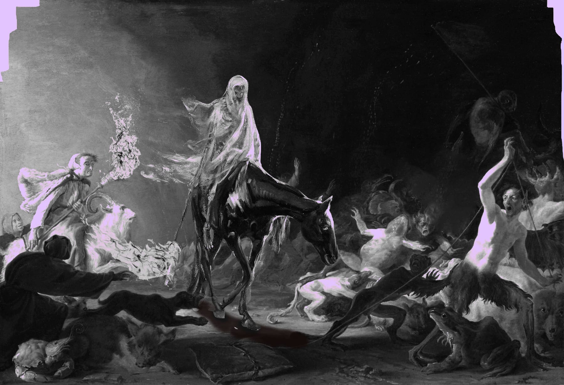 Collection banner