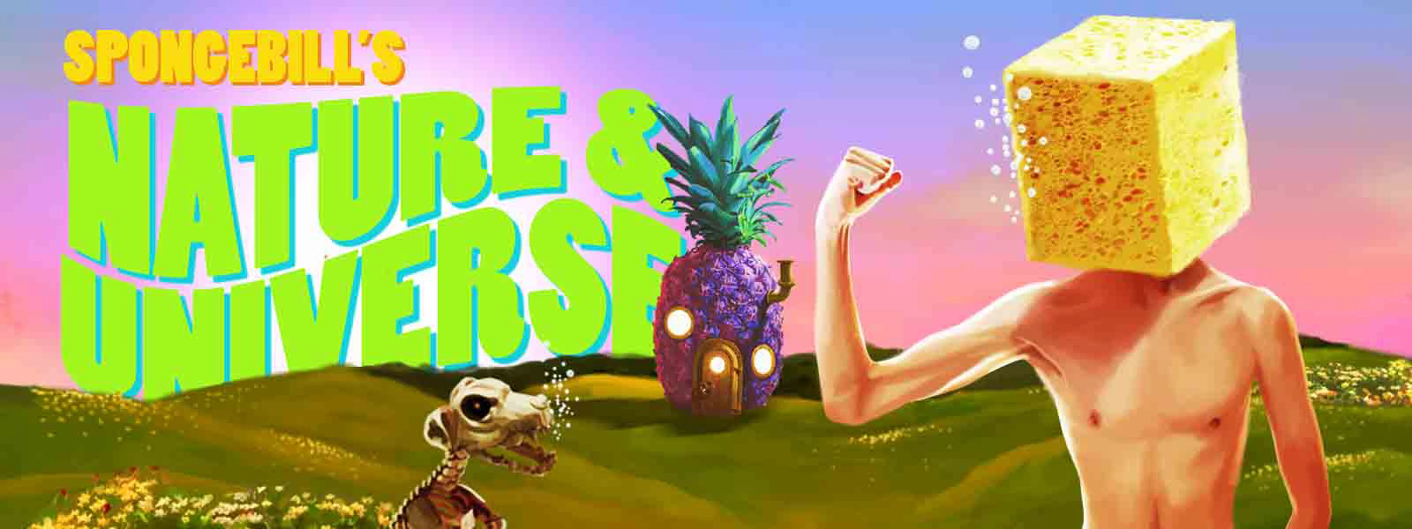 Collection banner