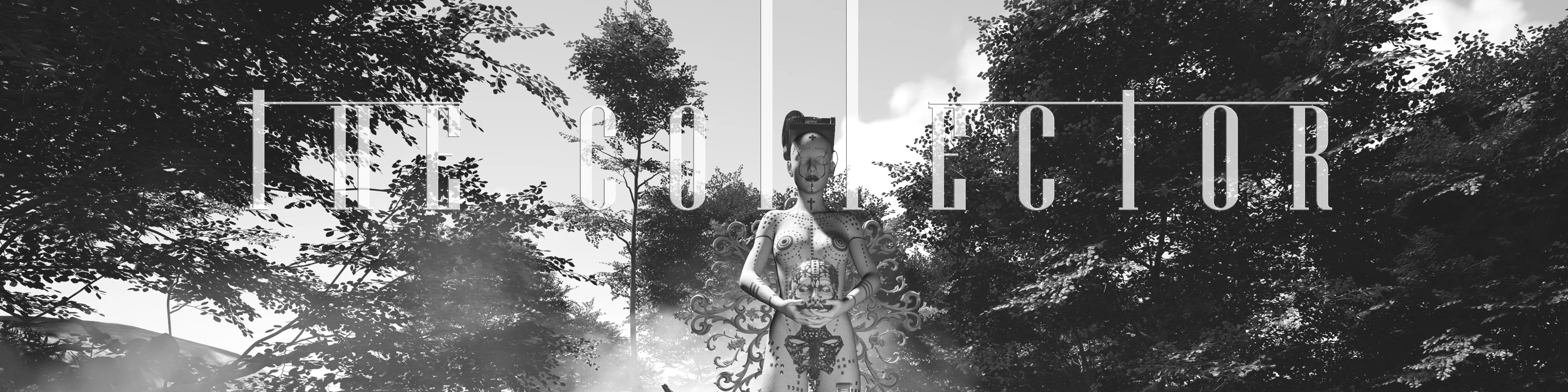 Collection banner