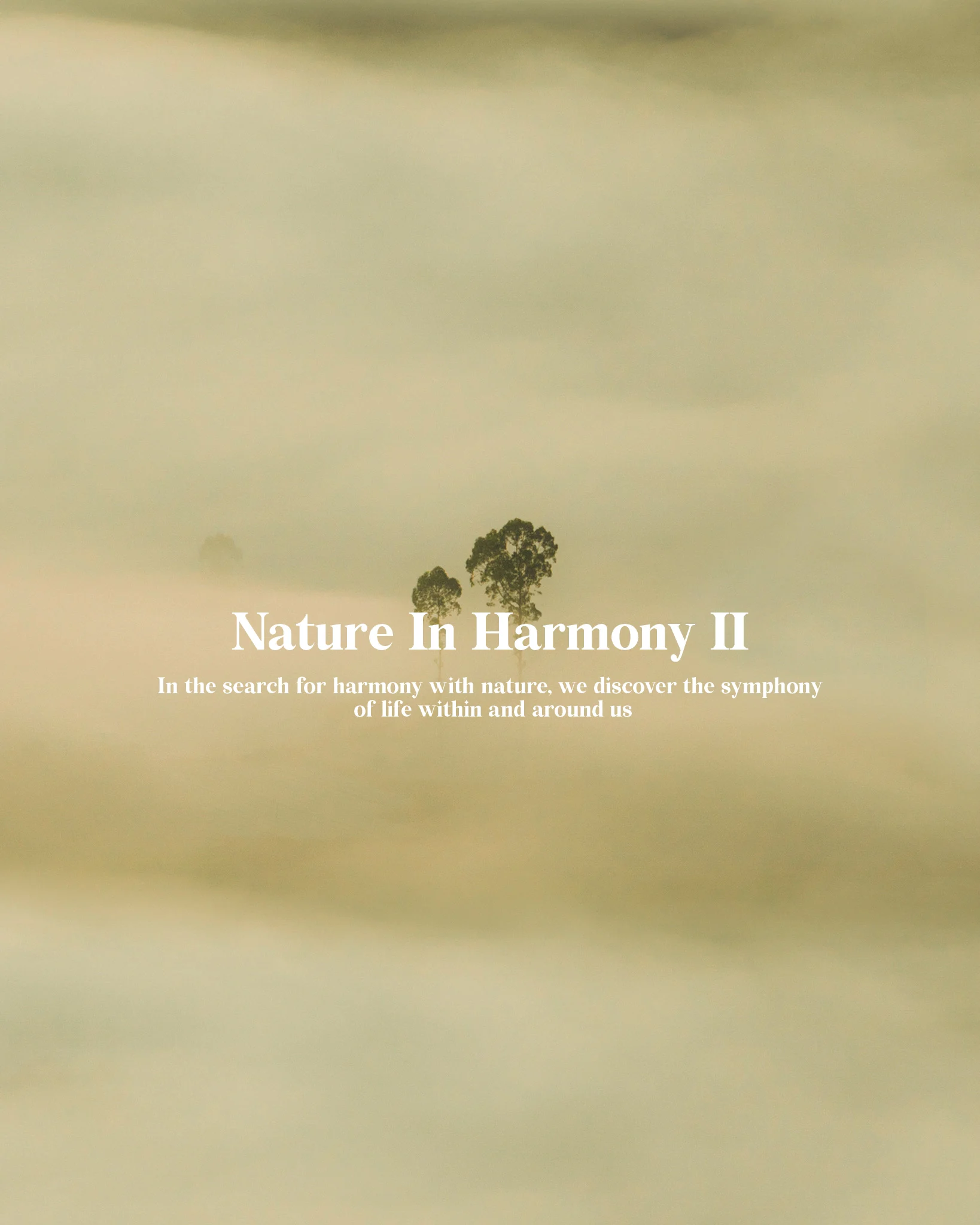 Collection banner