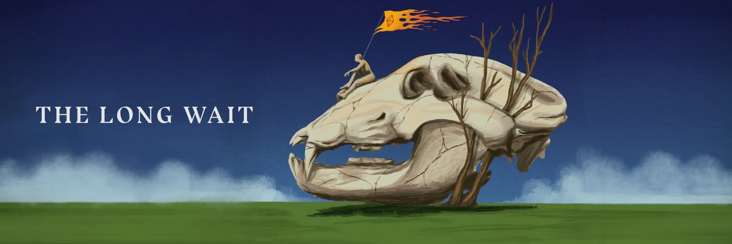 Collection banner