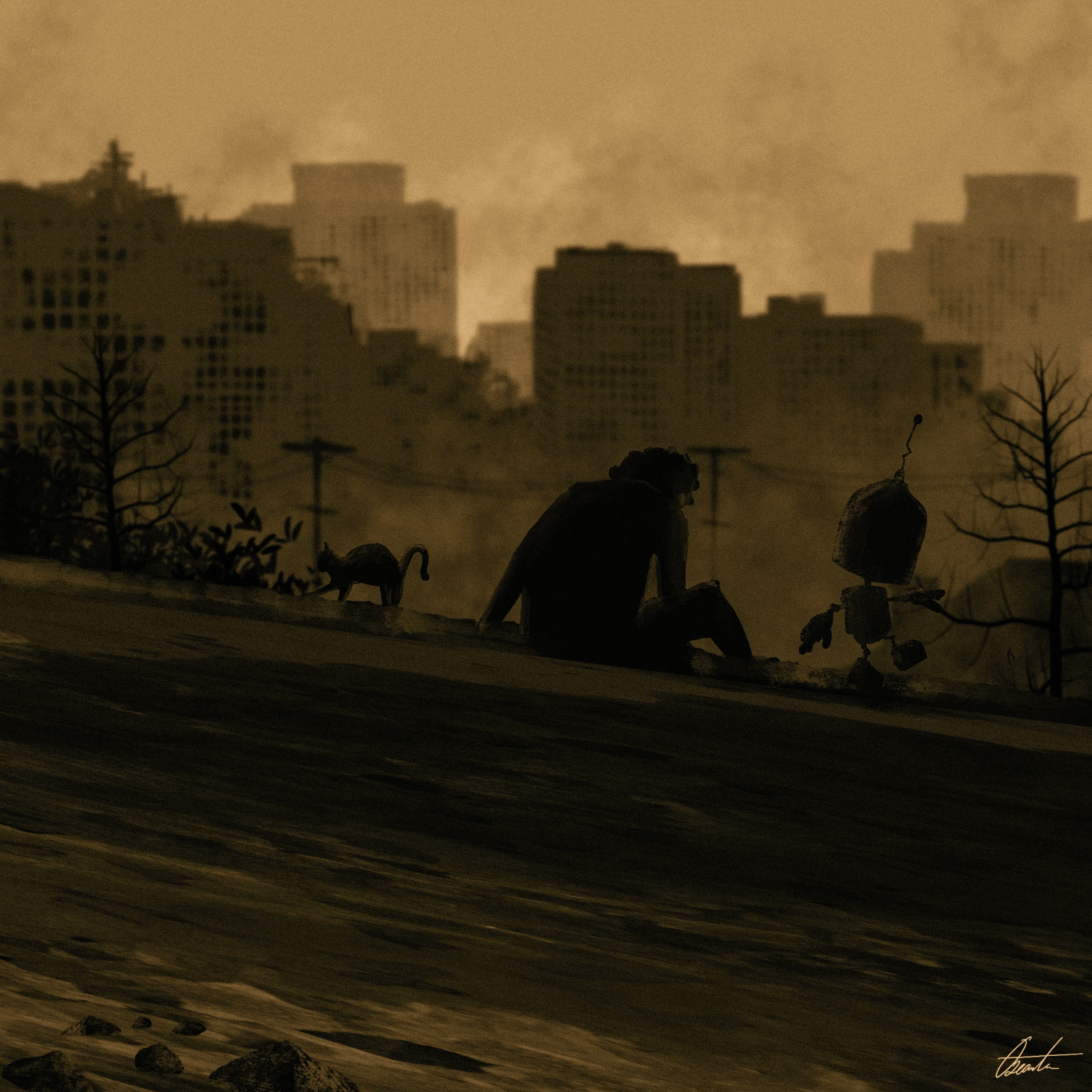 Collection banner