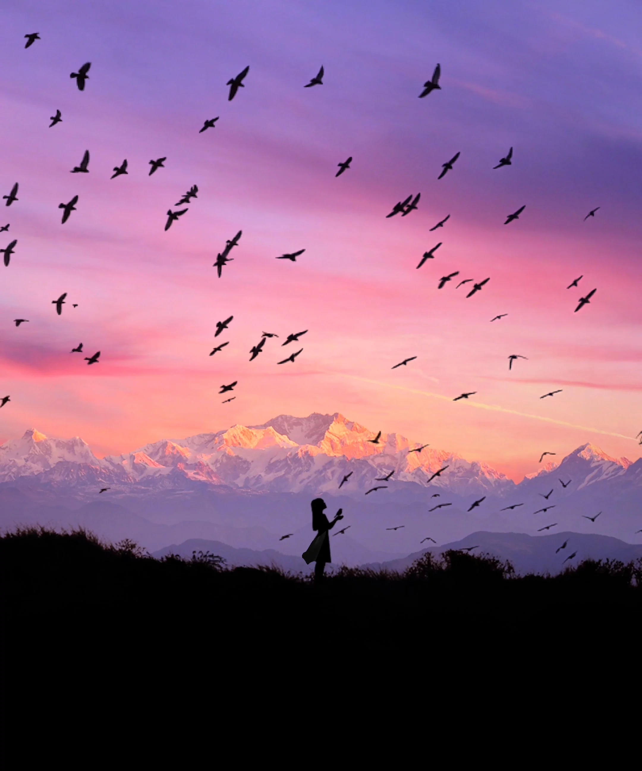 Bird Whisperer