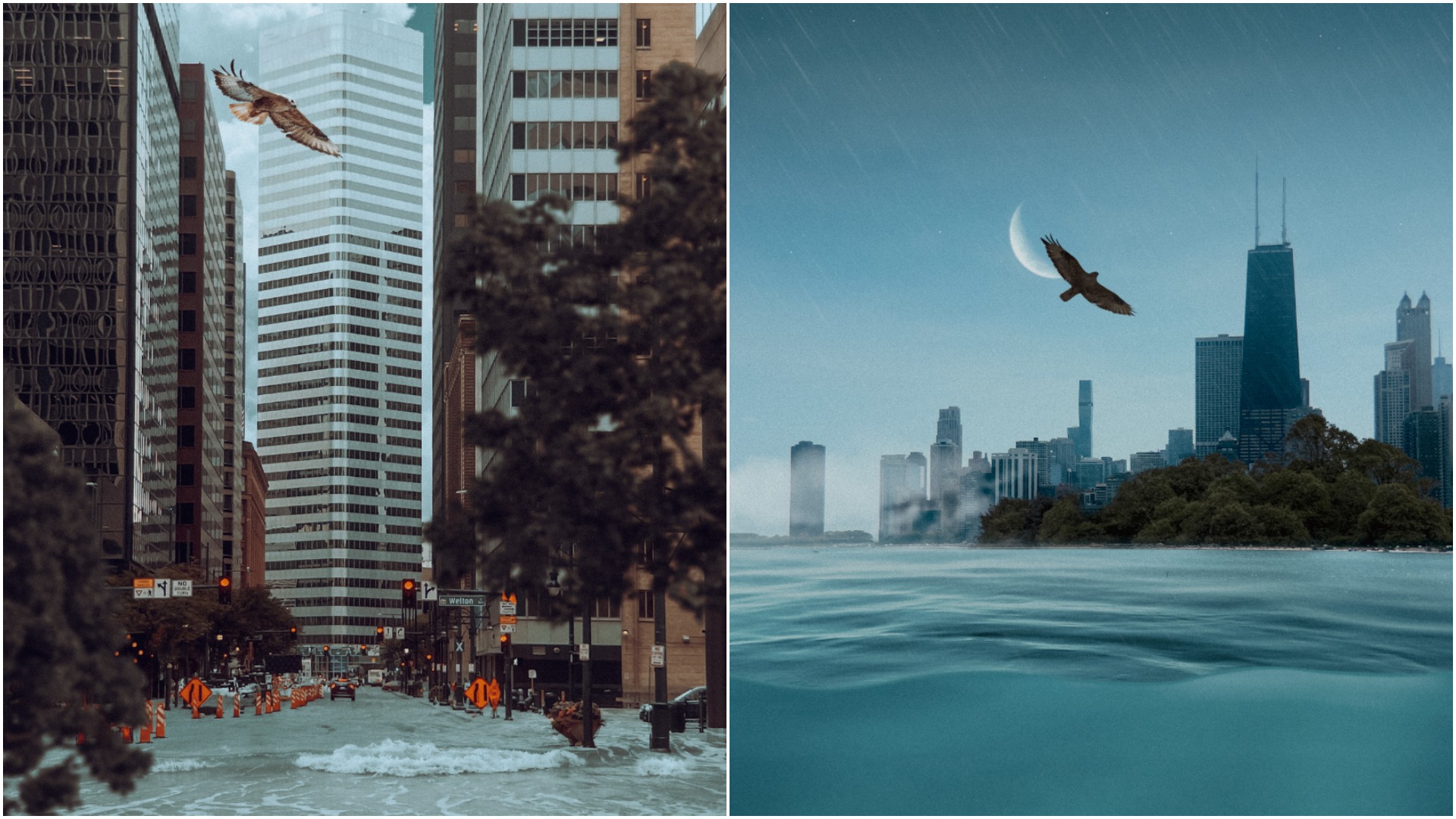 Displaced: Giraffe in the City by Swopes