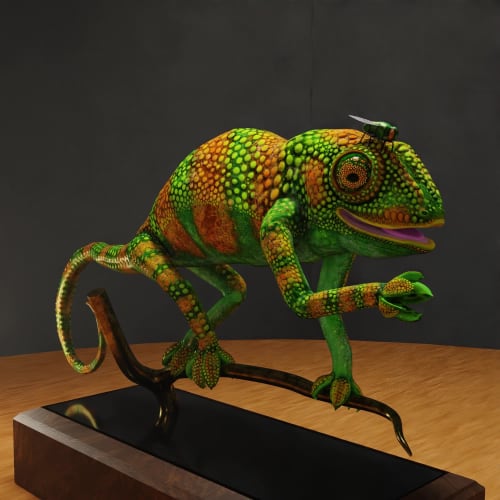 3D Visions Limited Editions