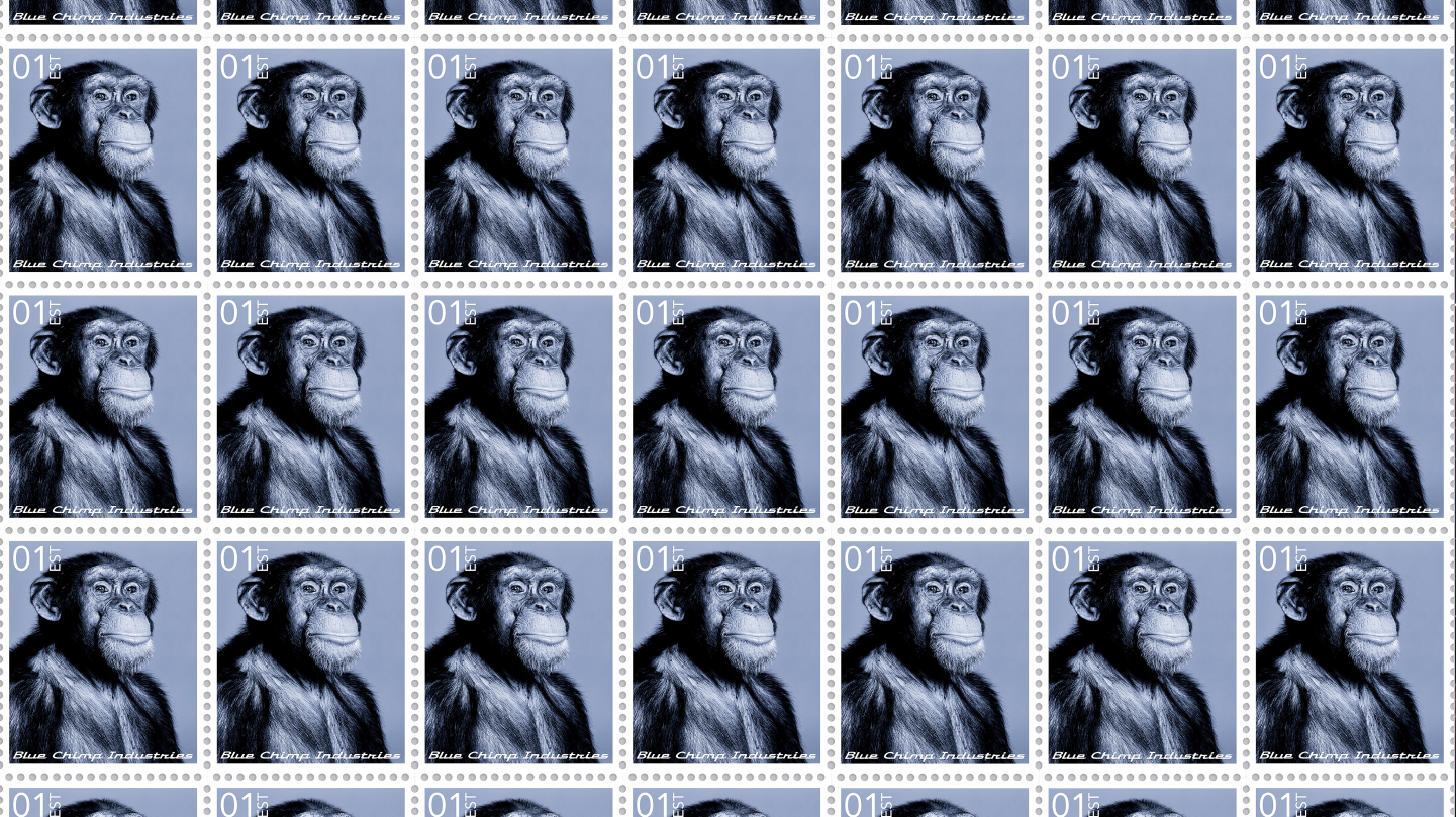 Blue Chimp Collection