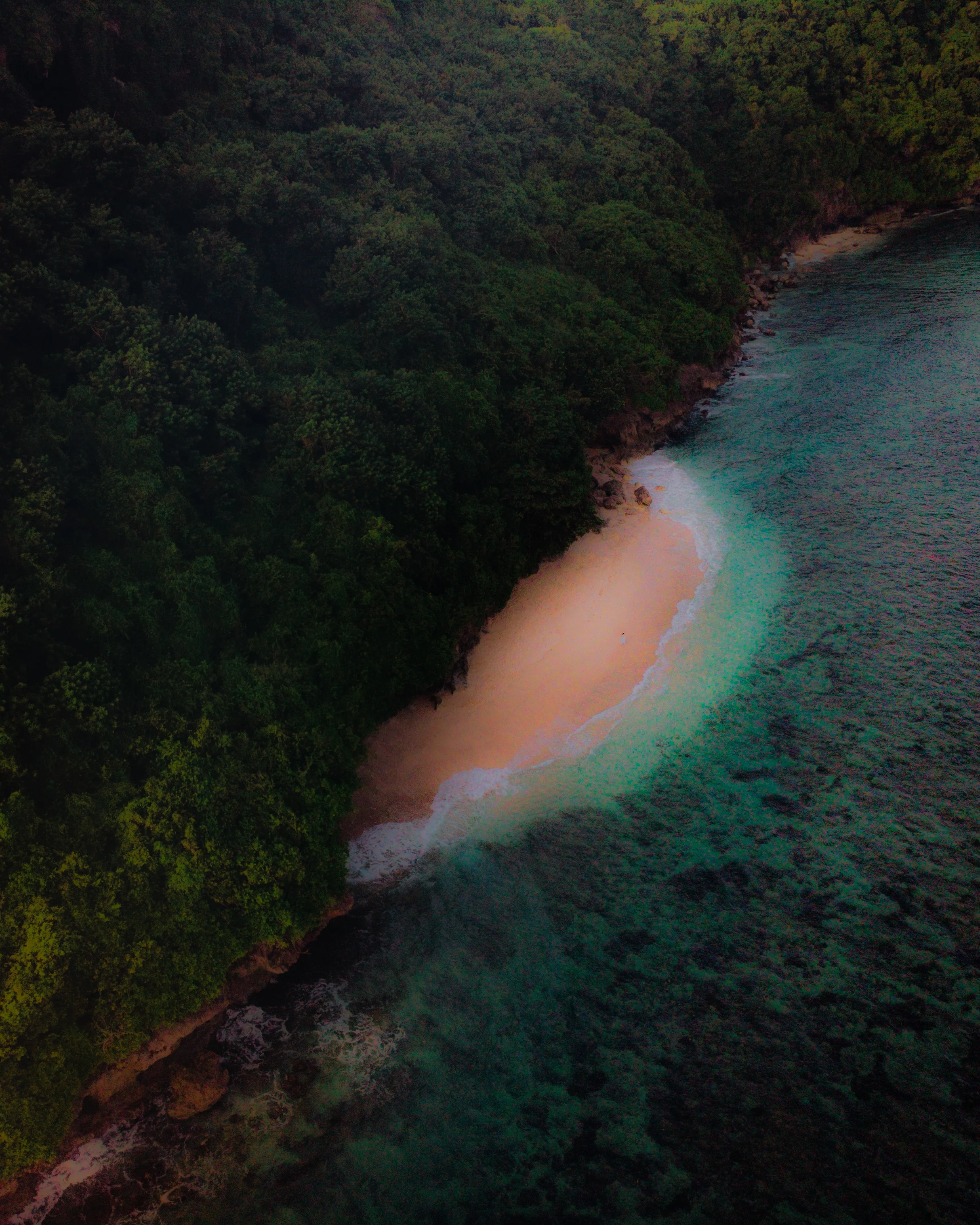 Hidden Paradise #5/12