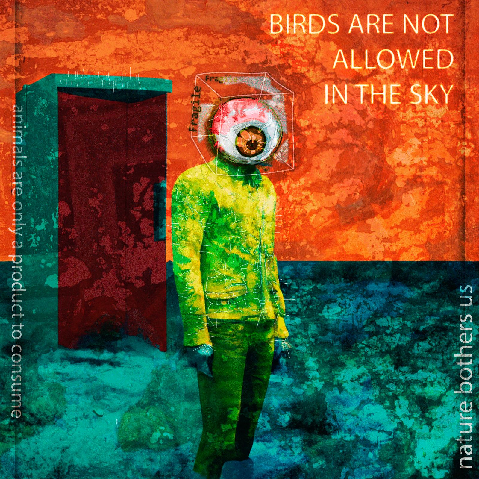 #83 No Birds | Fragile