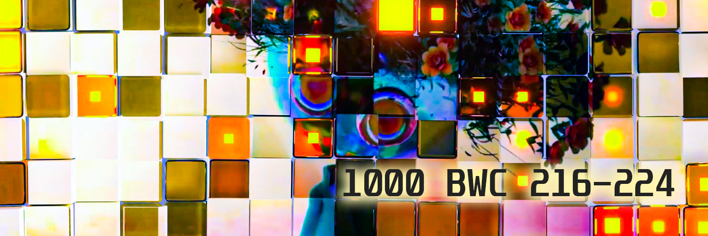 1000BWC-216-224
