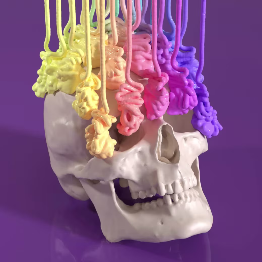 Skull #3/3