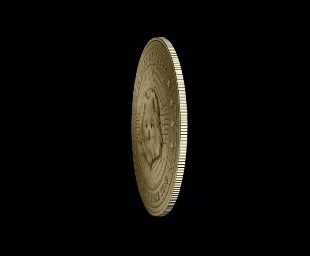Marshmello To The Moon Coin: Lunar Edition : 3 of 11