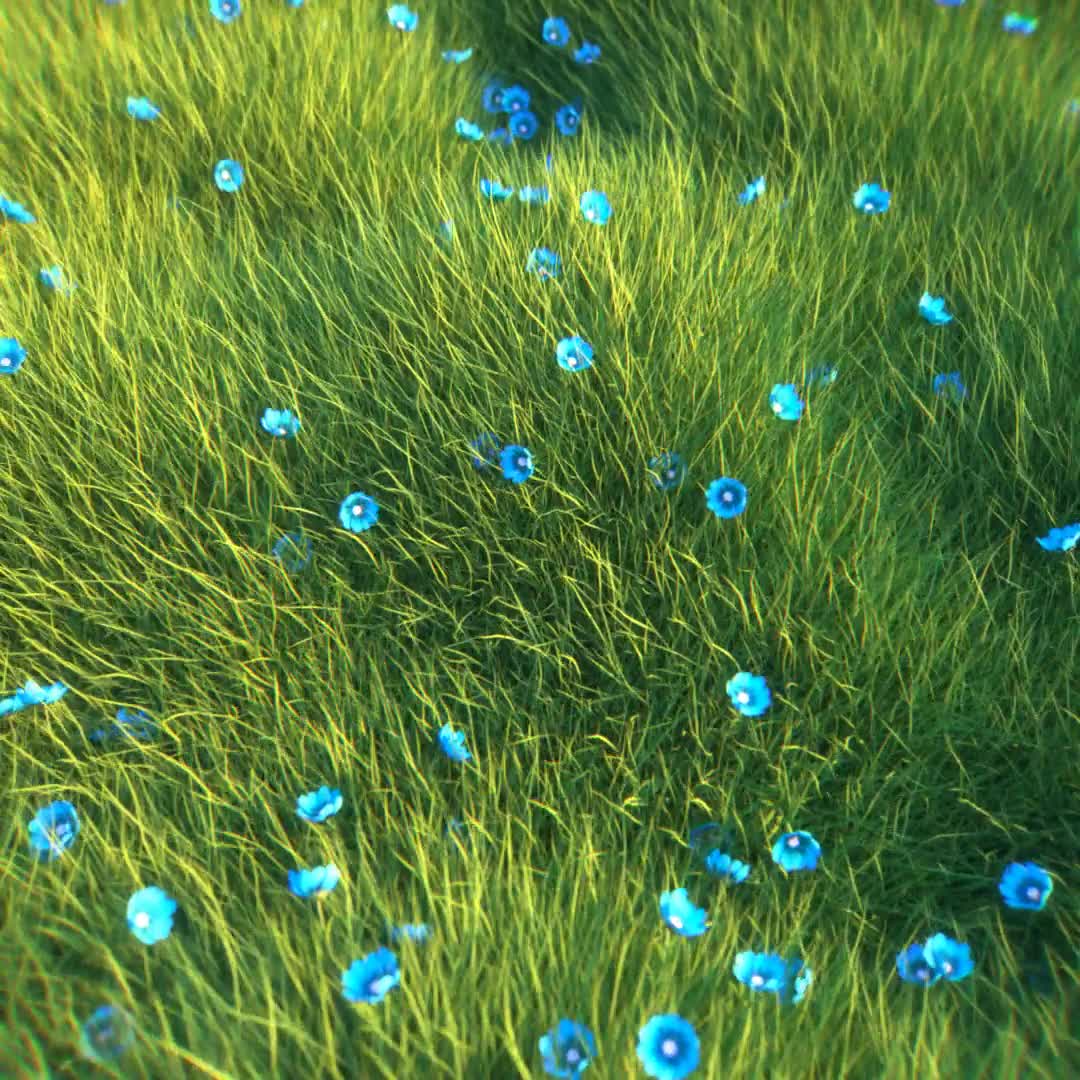 Infinite Field