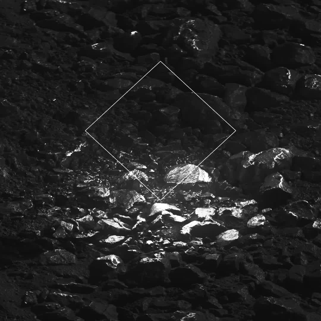 Rebirth of Narcissus by Pak