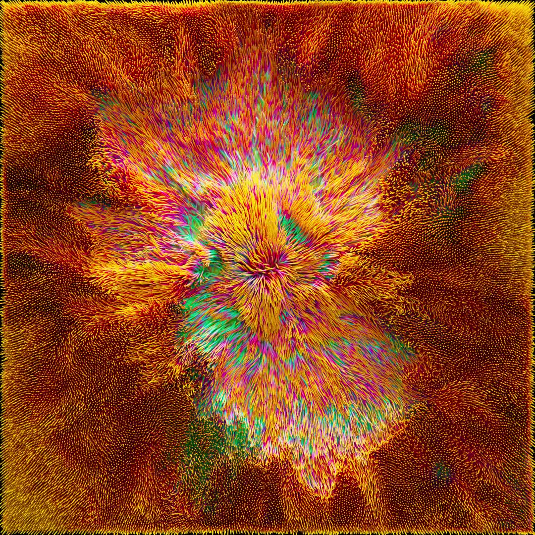 Wind of Notion