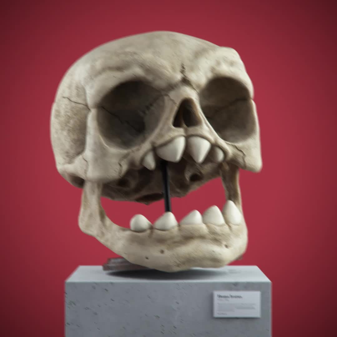Rage face (Homo Iratus)