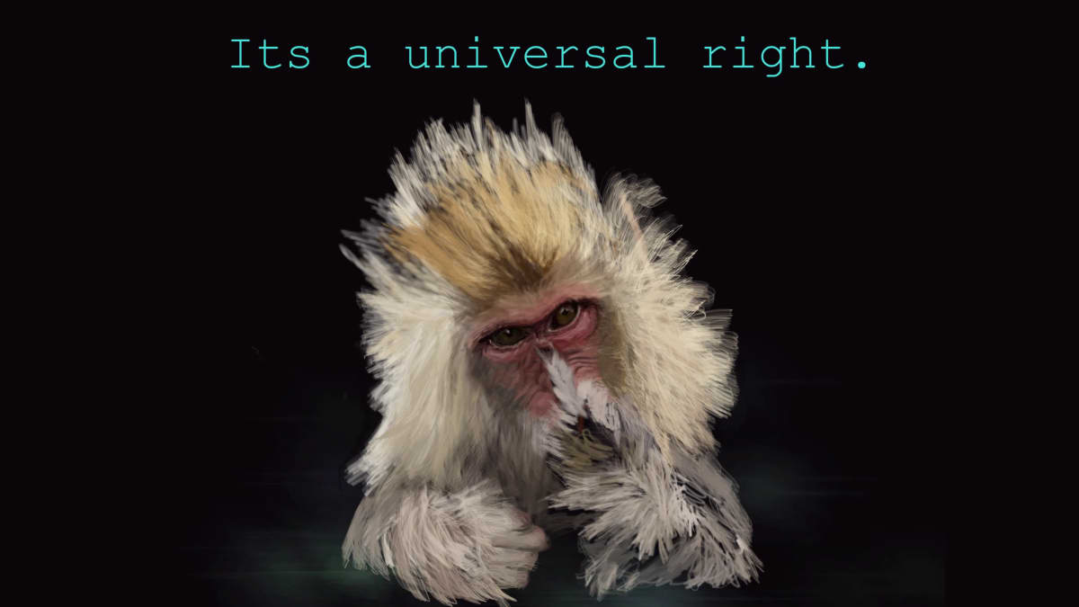 It's a Universal Right 2
