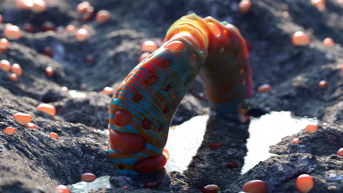 The Nimbulous