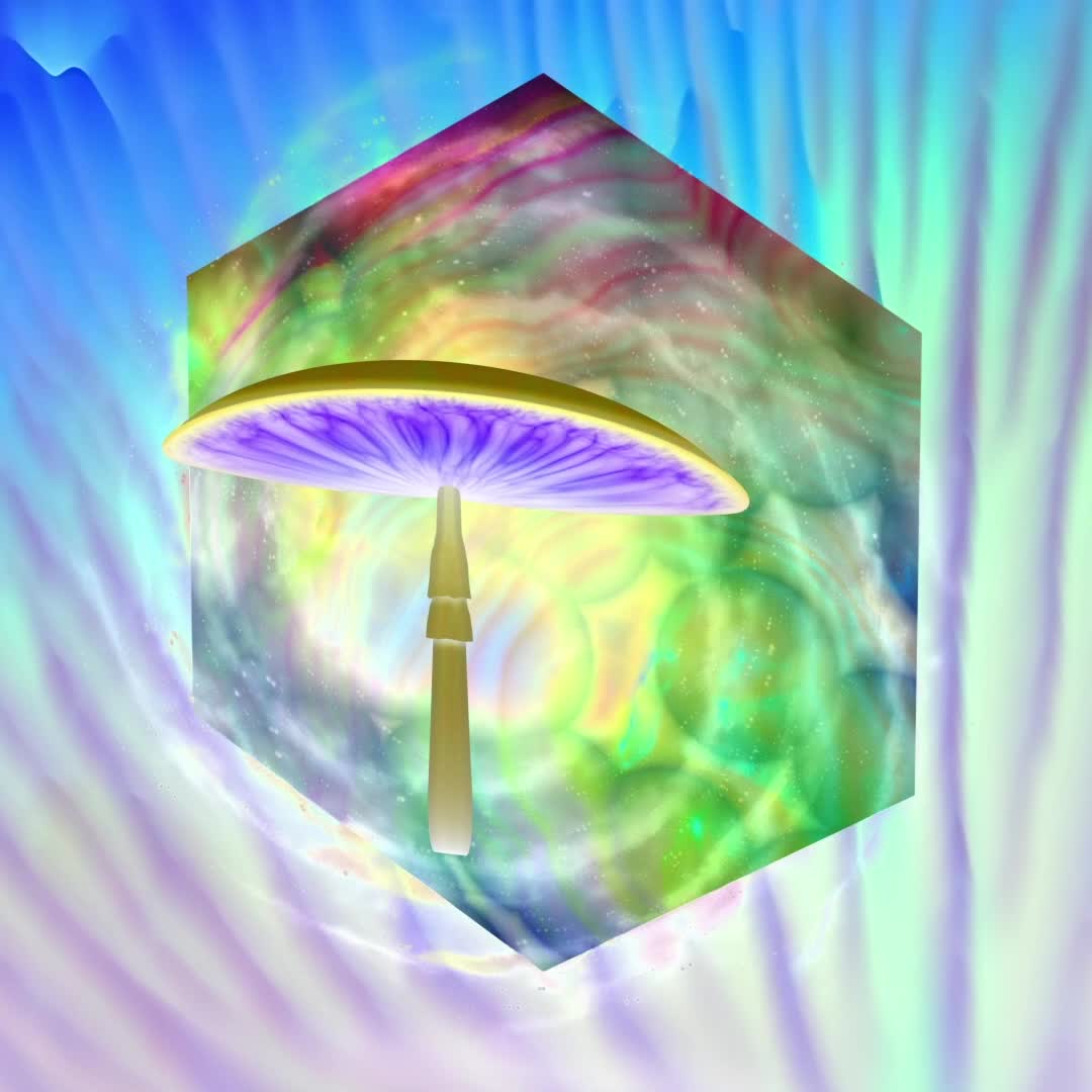 Friendly Visit by Centro