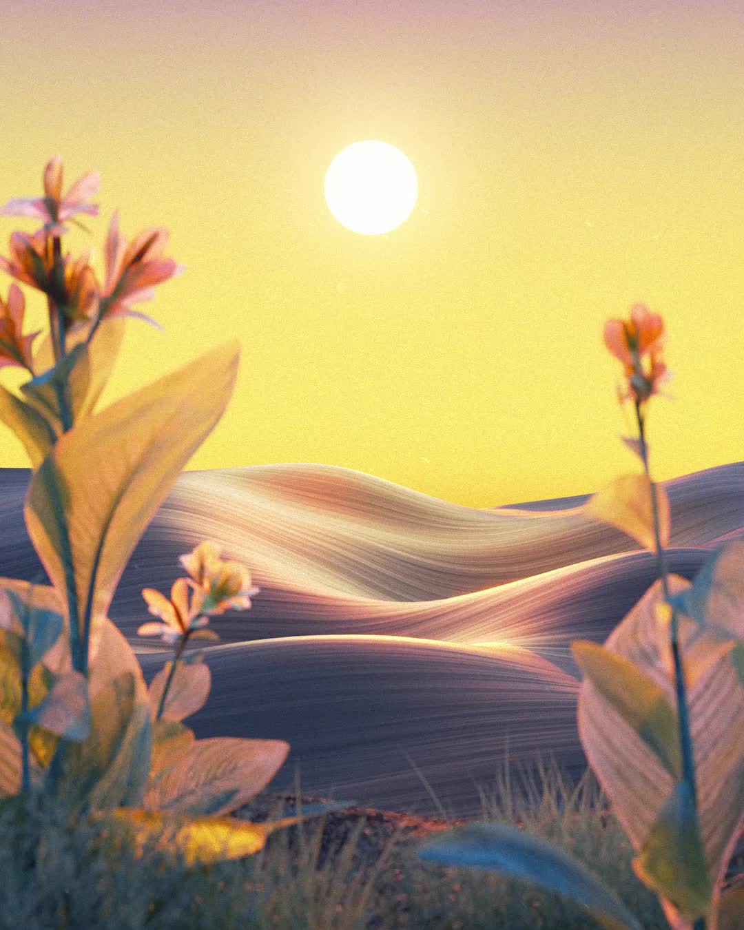 NASAYA x Stillman: Nighttime