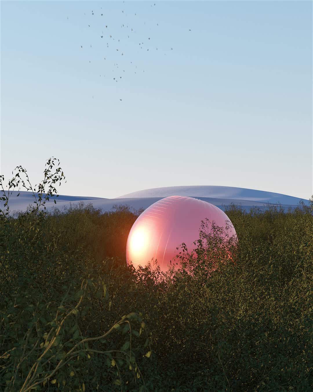 The Hot Air Balloon