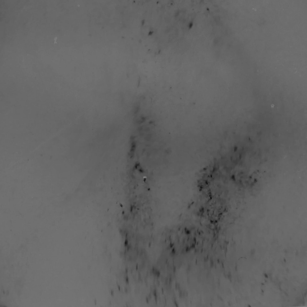 FLAYED MAINFRAME 2 (Winston Hacking)